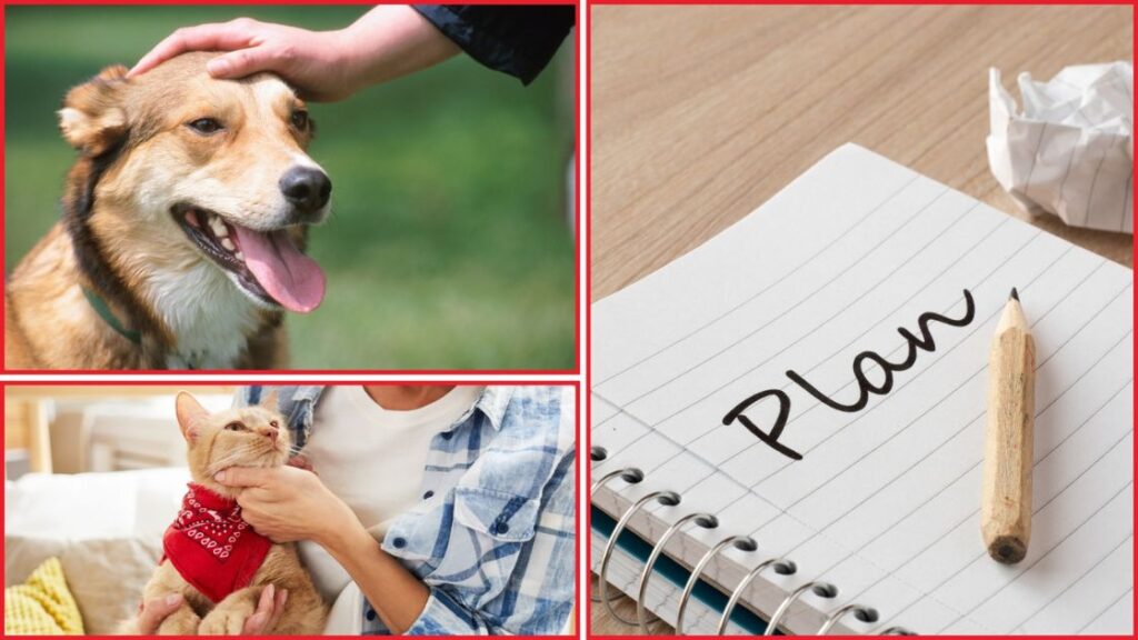 Plan for Summer Safety - Including Pets in Your Emergency Plan